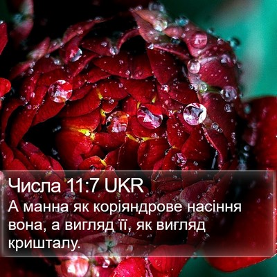 Числа 11:7 UKR Bible Verse Image