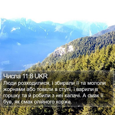 Числа 11:8 UKR Bible Verse Image
