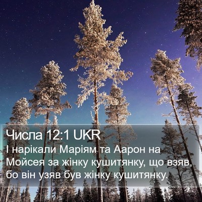 Числа 12:1 UKR Bible Verse Image
