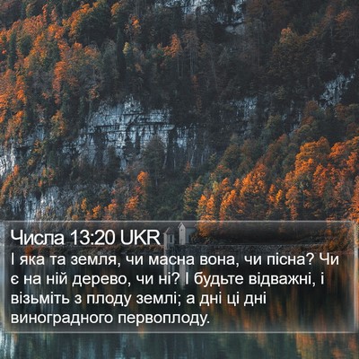 Числа 13:20 UKR Bible Verse Image