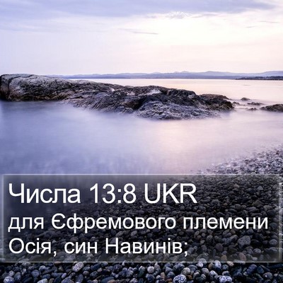 Числа 13:8 UKR Bible Verse Image