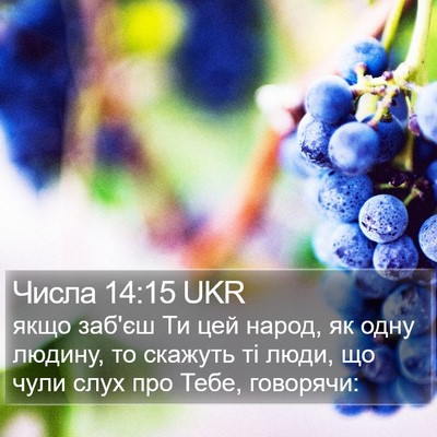 Числа 14:15 UKR Bible Verse Image