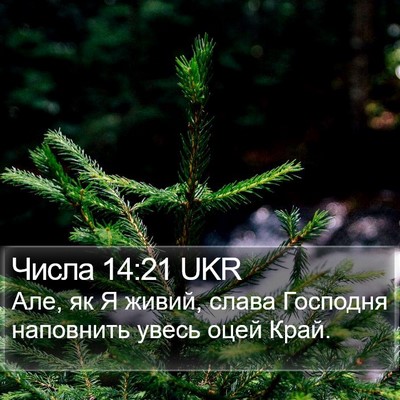 Числа 14:21 UKR Bible Verse Image
