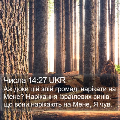 Числа 14:27 UKR Bible Verse Image