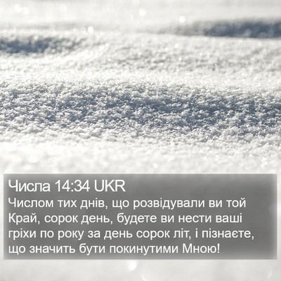Числа 14:34 UKR Bible Verse Image