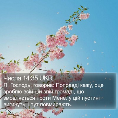 Числа 14:35 UKR Bible Verse Image
