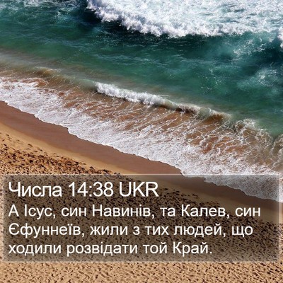 Числа 14:38 UKR Bible Verse Image