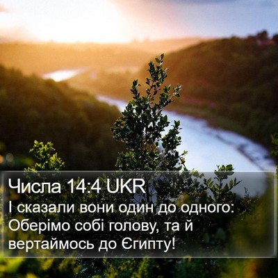 Числа 14:4 UKR Bible Verse Image