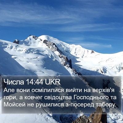 Числа 14:44 UKR Bible Verse Image