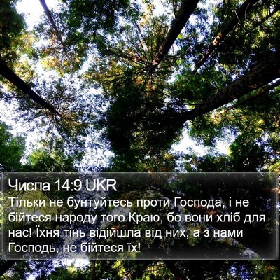 Числа 14:9 UKR Bible Verse Image
