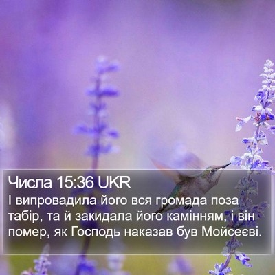 Числа 15:36 UKR Bible Verse Image