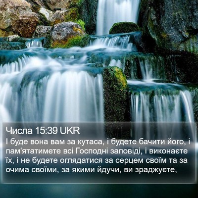 Числа 15:39 UKR Bible Verse Image