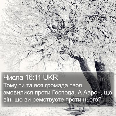 Числа 16:11 UKR Bible Verse Image