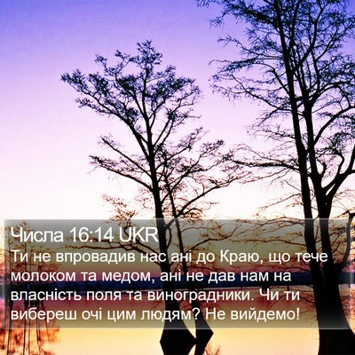Числа 16:14 UKR Bible Verse Image