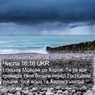 Числа 16:16 UKR Bible Verse Image