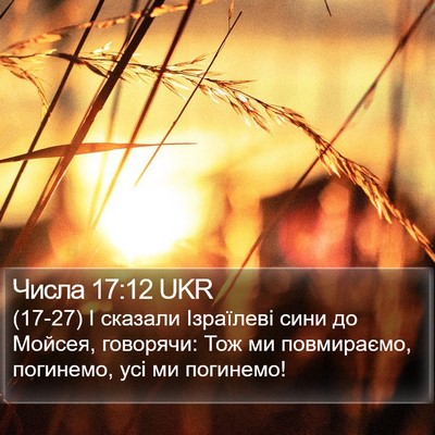 Числа 17:12 UKR Bible Verse Image