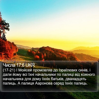 Числа 17:6 UKR Bible Verse Image