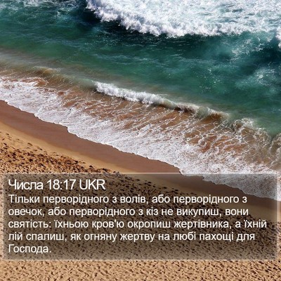 Числа 18:17 UKR Bible Verse Image