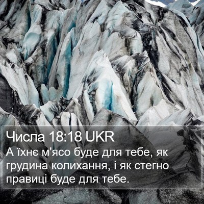 Числа 18:18 UKR Bible Verse Image