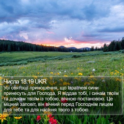 Числа 18:19 UKR Bible Verse Image