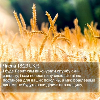 Числа 18:23 UKR Bible Verse Image