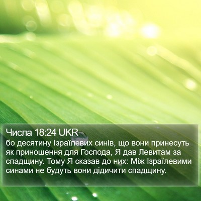 Числа 18:24 UKR Bible Verse Image