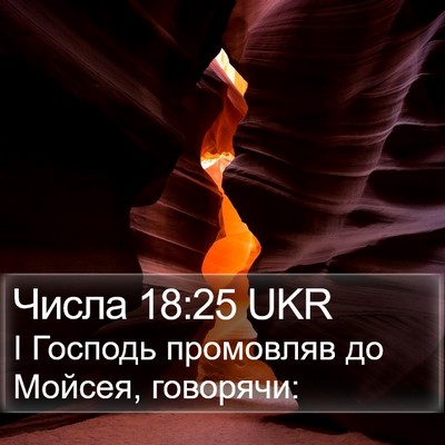 Числа 18:25 UKR Bible Verse Image