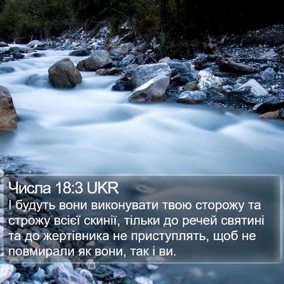 Числа 18:3 UKR Bible Verse Image