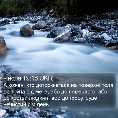 Числа 19:16 UKR Bible Verse Image
