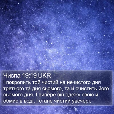 Числа 19:19 UKR Bible Verse Image
