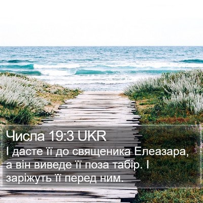 Числа 19:3 UKR Bible Verse Image