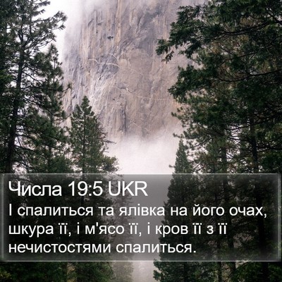 Числа 19:5 UKR Bible Verse Image