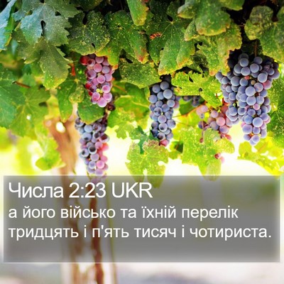 Числа 2:23 UKR Bible Verse Image