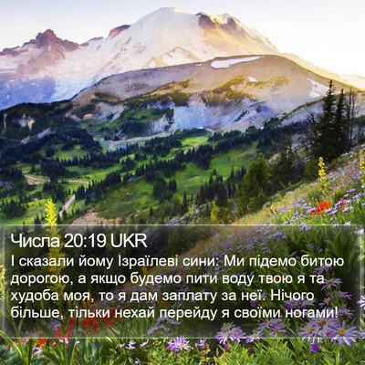 Числа 20:19 UKR Bible Verse Image