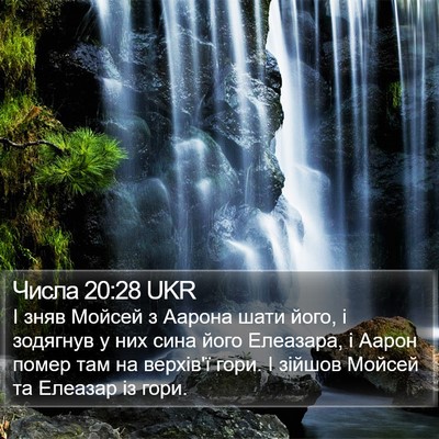 Числа 20:28 UKR Bible Verse Image