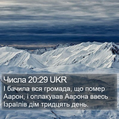 Числа 20:29 UKR Bible Verse Image