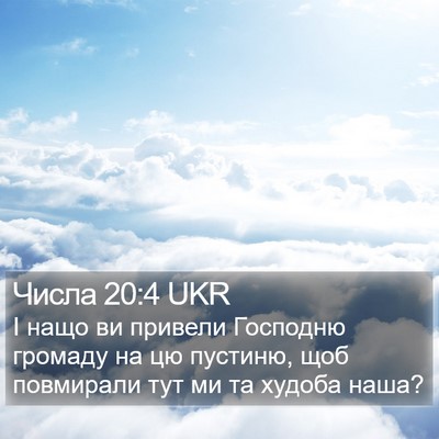 Числа 20:4 UKR Bible Verse Image