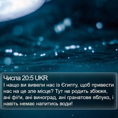 Числа 20:5 UKR Bible Verse Image