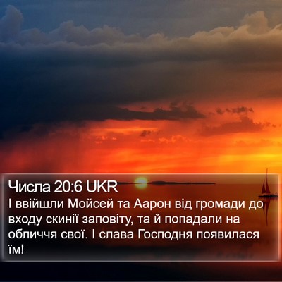 Числа 20:6 UKR Bible Verse Image