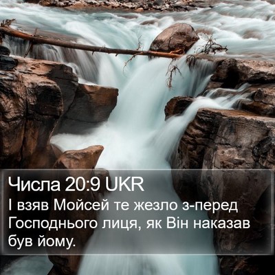 Числа 20:9 UKR Bible Verse Image