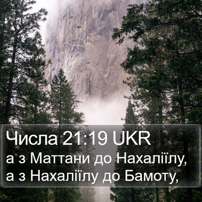 Числа 21:19 UKR Bible Verse Image