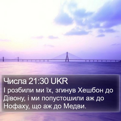 Числа 21:30 UKR Bible Verse Image