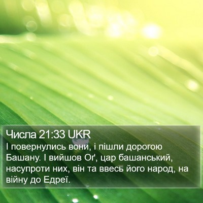 Числа 21:33 UKR Bible Verse Image