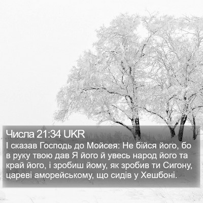 Числа 21:34 UKR Bible Verse Image