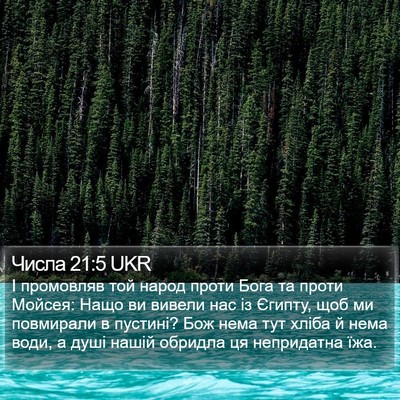 Числа 21:5 UKR Bible Verse Image