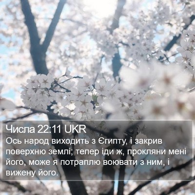 Числа 22:11 UKR Bible Verse Image