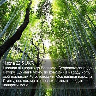 Числа 22:5 UKR Bible Verse Image