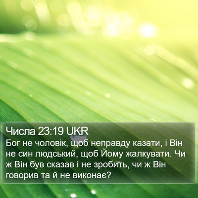 Числа 23:19 UKR Bible Verse Image