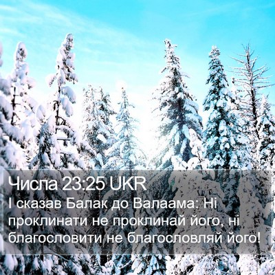 Числа 23:25 UKR Bible Verse Image