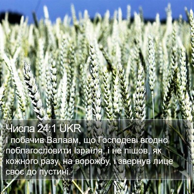 Числа 24:1 UKR Bible Verse Image